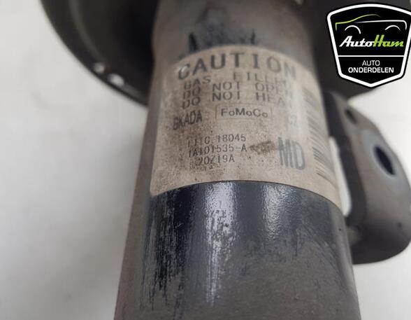 Shock Absorber FORD PUMA (J2K, CF7)