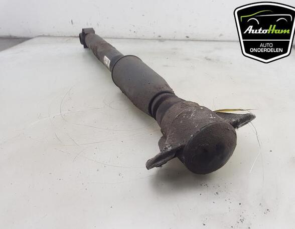 Shock Absorber AUDI Q5 (8RB), AUDI Q5 Van (8RB)