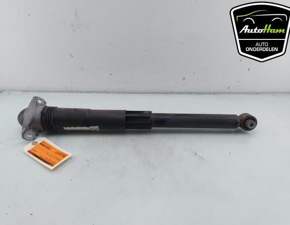 Shock Absorber VW GOLF SPORTSVAN (AM1, AN1)