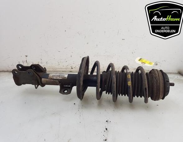 Shock Absorber FIAT GRANDE PUNTO (199_), FIAT PUNTO (199_), FIAT PUNTO EVO (199_)