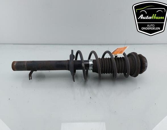 Shock Absorber CITROËN C1 (PM_, PN_), PEUGEOT 107 (PM_, PN_), TOYOTA AYGO (_B1_)