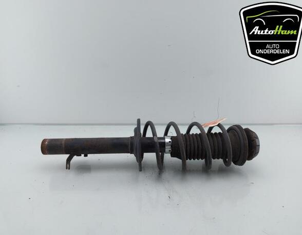 Shock Absorber CITROËN C1 (PM_, PN_), PEUGEOT 107 (PM_, PN_), TOYOTA AYGO (_B1_)