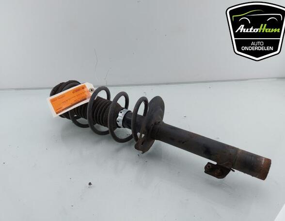 Shock Absorber CITROËN C1 (PM_, PN_), PEUGEOT 107 (PM_, PN_), TOYOTA AYGO (_B1_)