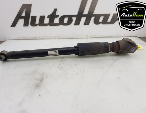 Shock Absorber AUDI A5 Sportback (F5A, F5F), AUDI A4 Avant (8W5, 8WD, B9)