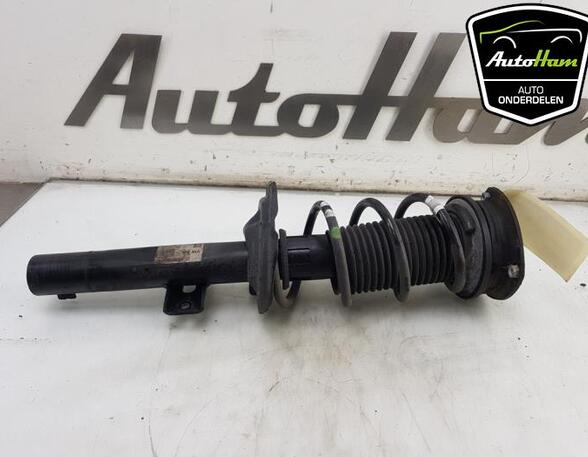 Shock Absorber SEAT IBIZA V (KJ1, KJG)