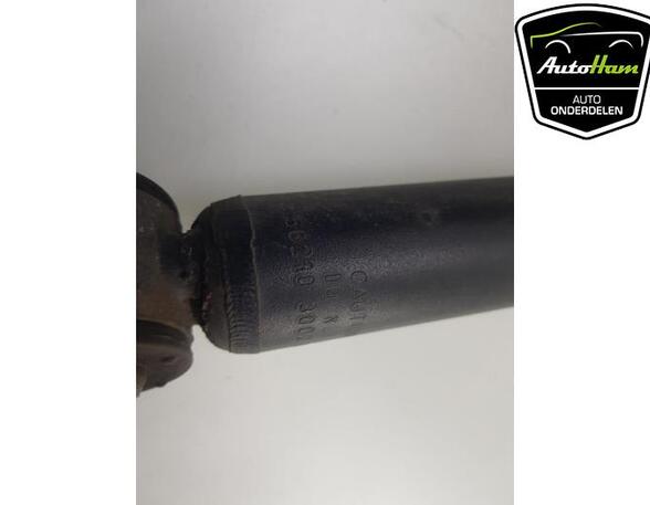 Shock Absorber RENAULT CLIO V (B7_)