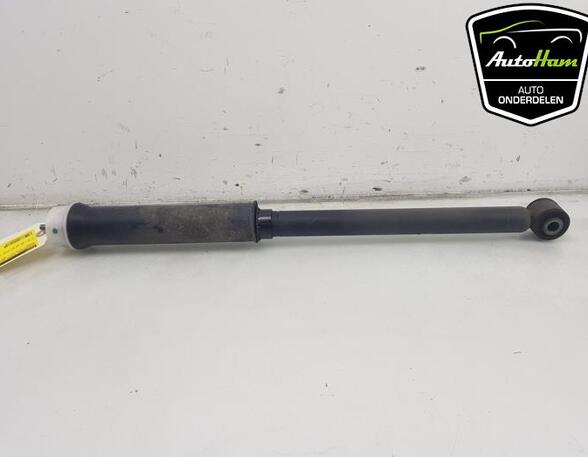 Shock Absorber RENAULT CLIO V (B7_)