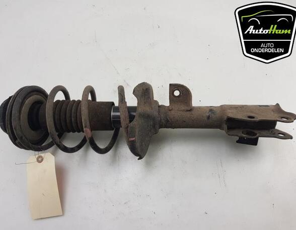 Shock Absorber SUZUKI CELERIO (LF)