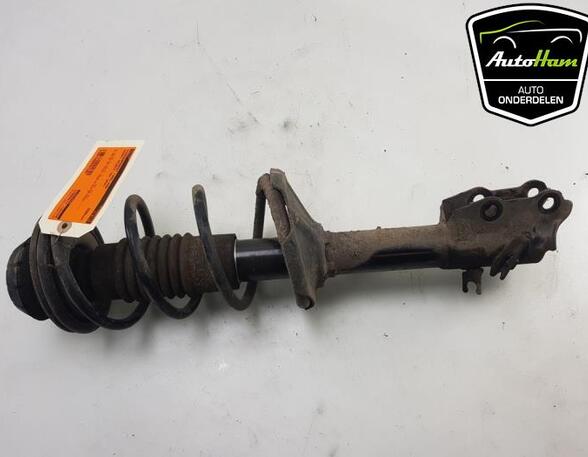 Shock Absorber SUZUKI CELERIO (LF)