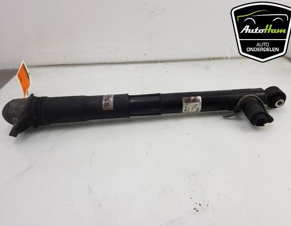 Shock Absorber SKODA OCTAVIA III Combi (5E5, 5E6)