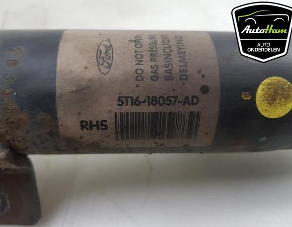 Shock Absorber FORD TRANSIT CONNECT (P65_, P70_, P80_), FORD TRANSIT CUSTOM V362 Van (FY, FZ)