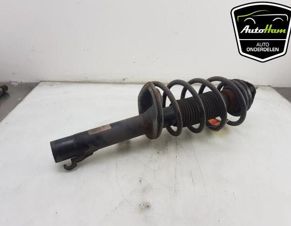 Shock Absorber FORD TRANSIT CONNECT (P65_, P70_, P80_), FORD TRANSIT CUSTOM V362 Van (FY, FZ)