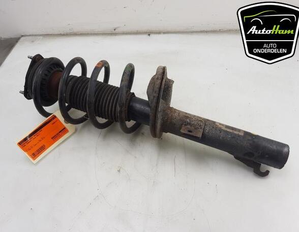 Shock Absorber FORD TRANSIT CONNECT (P65_, P70_, P80_), FORD TRANSIT CUSTOM V362 Van (FY, FZ)