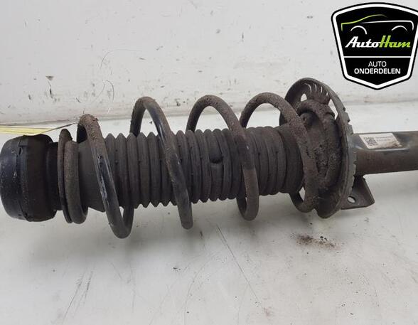 Shock Absorber VW POLO (6R1, 6C1)