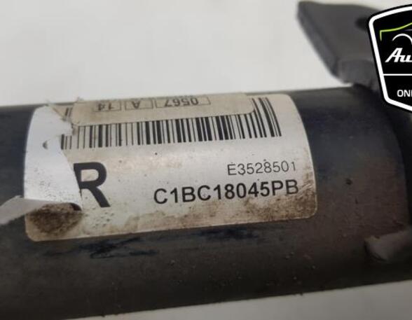 Shock Absorber FORD FIESTA VI (CB1, CCN)