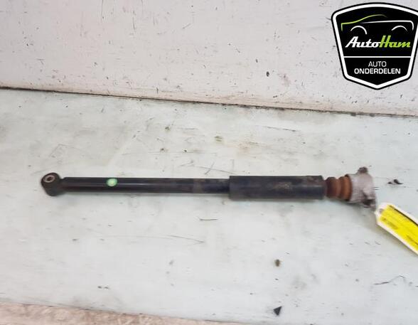 Shock Absorber FORD FIESTA VI (CB1, CCN)