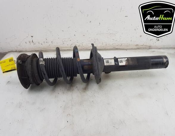 Shock Absorber VW TIGUAN (AD1, AX1), VW TIGUAN ALLSPACE (BW2)