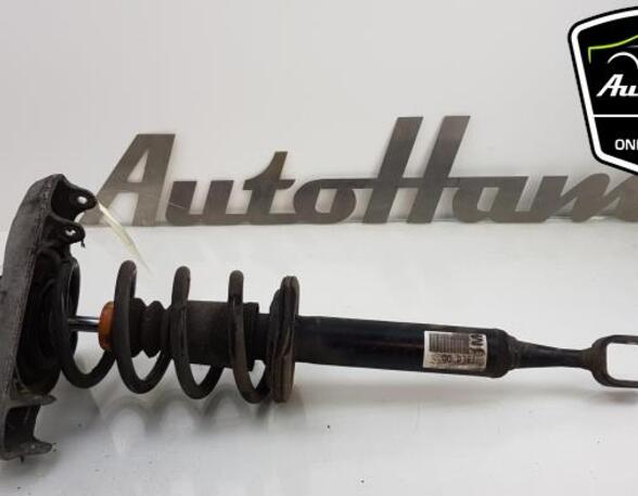 Shock Absorber AUDI A4 (8EC, B7), AUDI A4 Avant (8E5, B6), AUDI A4 Avant (8ED, B7)