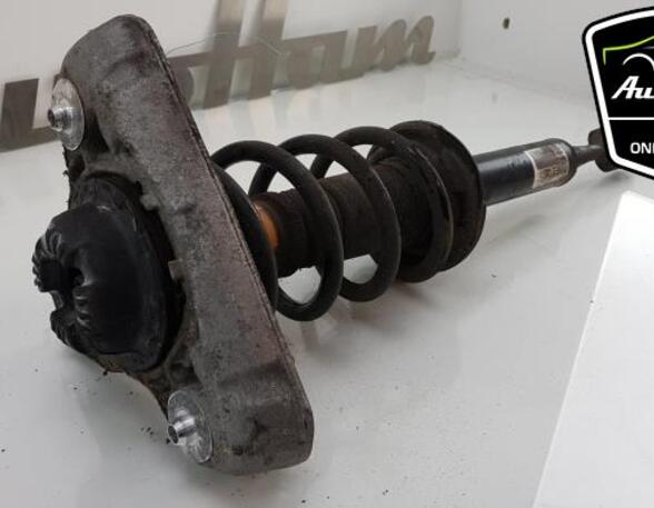 Shock Absorber AUDI A4 (8EC, B7), AUDI A4 Avant (8E5, B6), AUDI A4 Avant (8ED, B7)