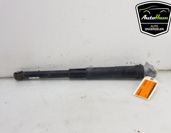 Shock Absorber VW GOLF VII (5G1, BQ1, BE1, BE2), SEAT LEON ST (5F8), SEAT LEON (5F1)