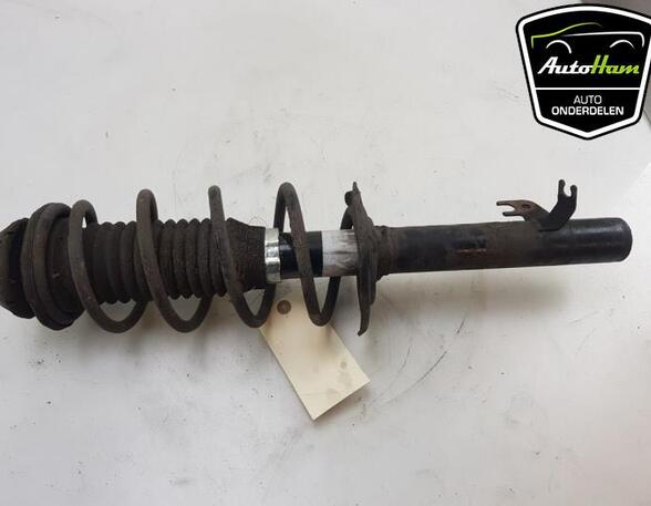 Shock Absorber PEUGEOT 107 (PM_, PN_), TOYOTA AYGO (_B1_), CITROËN C1 (PM_, PN_)