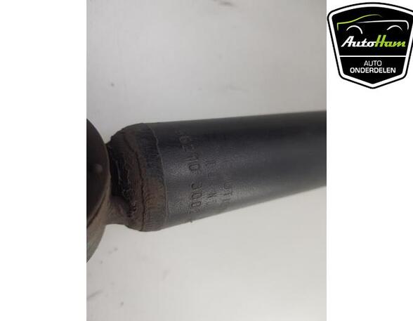 Shock Absorber RENAULT CLIO V (B7_)