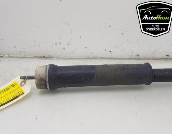 Shock Absorber RENAULT CLIO V (B7_)