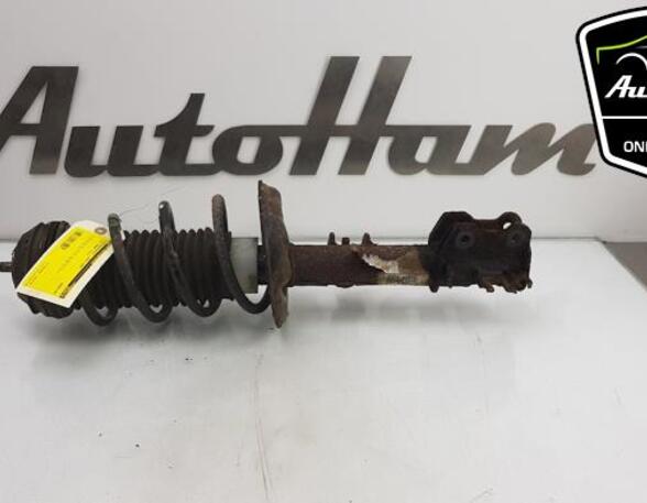 Shock Absorber FIAT PANDA (312_, 319_), FIAT PANDA VAN (312_, 519_)