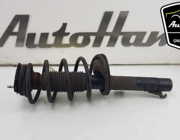 Shock Absorber FORD TRANSIT CONNECT (P65_, P70_, P80_), FORD TRANSIT CUSTOM V362 Van (FY, FZ)