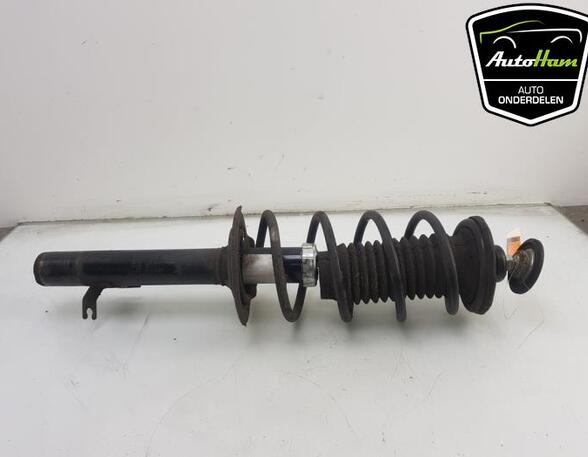 Shock Absorber CITROËN C1 (PM_, PN_), TOYOTA AYGO (_B1_), PEUGEOT 107 (PM_, PN_)