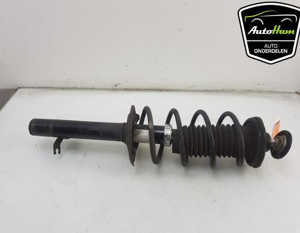 Shock Absorber CITROËN C1 (PM_, PN_), TOYOTA AYGO (_B1_), PEUGEOT 107 (PM_, PN_)