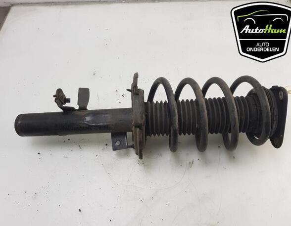 Shock Absorber FORD FOCUS III Turnier, FORD C-MAX II (DXA/CB7, DXA/CEU)