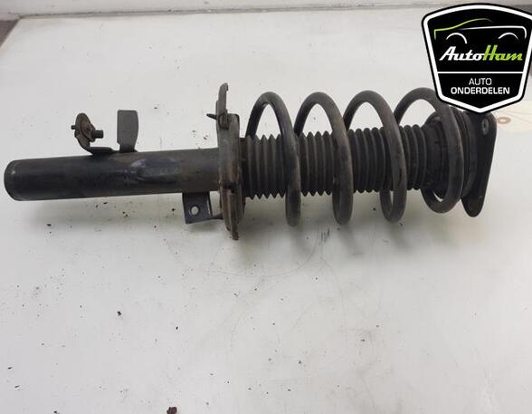 Shock Absorber FORD FOCUS III Turnier, FORD C-MAX II (DXA/CB7, DXA/CEU)