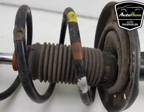 Shock Absorber FIAT 500 (312_), FIAT 500 C (312_)