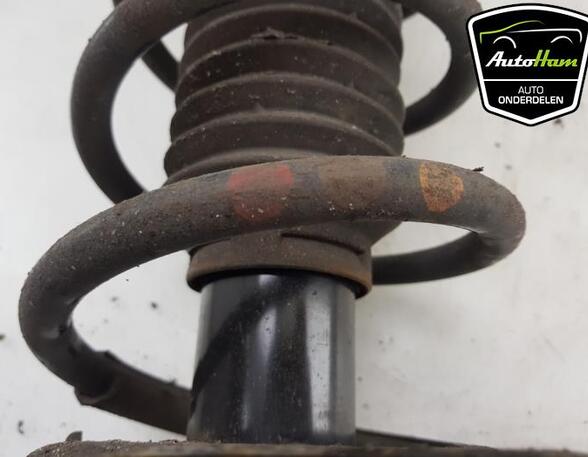 Shock Absorber RENAULT KANGOO / GRAND KANGOO (KW0/1_)