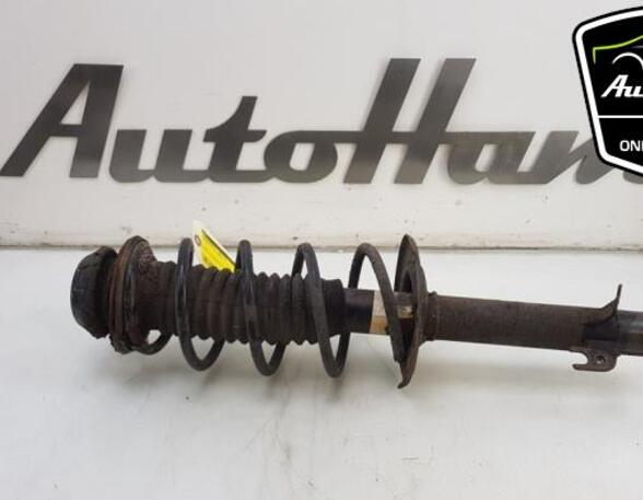 Shock Absorber PEUGEOT 107 (PM_, PN_), TOYOTA AYGO (_B1_), CITROËN C1 (PM_, PN_)