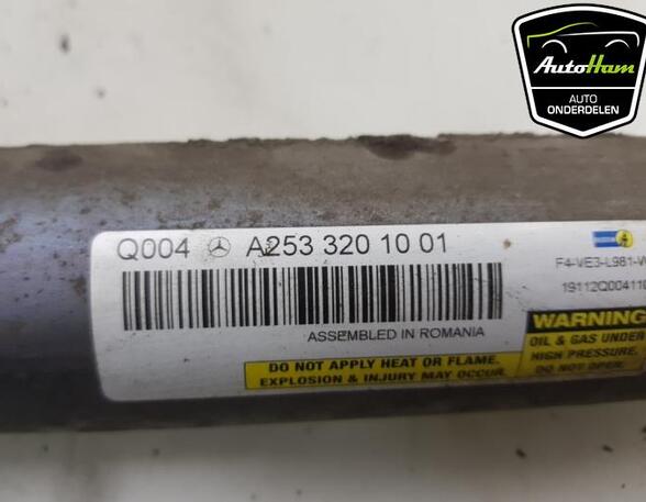 Shock Absorber MERCEDES-BENZ GLC (X253)