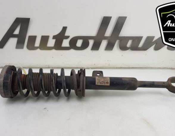 Shock Absorber BMW 5 Touring (F11)