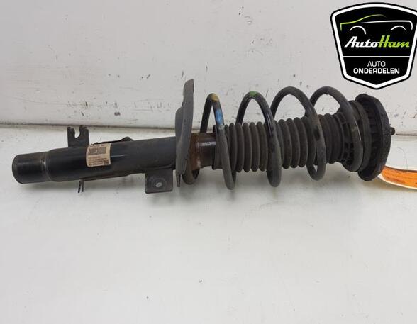 Shock Absorber CITROËN C3 II (SC_), CITROËN C3 III (SX)