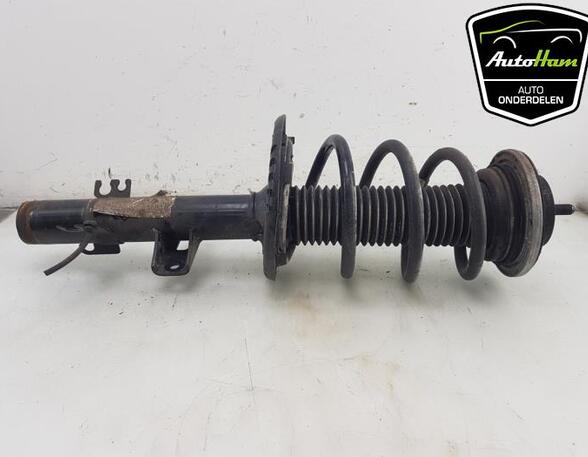 Shock Absorber VW TRANSPORTER VI Van (SGA, SGH, SHA, SHH)