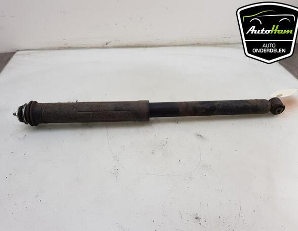 Shock Absorber PEUGEOT 107 (PM_, PN_), CITROËN C1 (PM_, PN_), TOYOTA AYGO (_B1_)