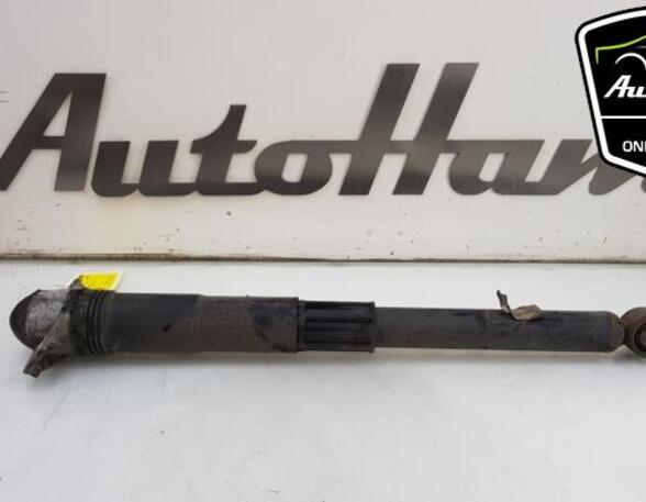 Shock Absorber VW TIGUAN (AD1, AX1), VW TIGUAN ALLSPACE (BW2)