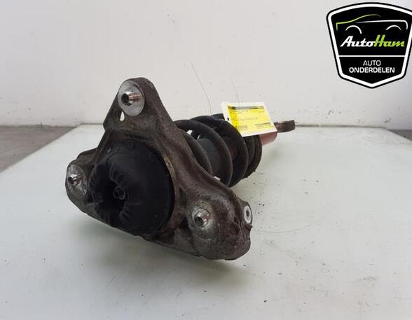 Shock Absorber AUDI A4 Avant (8ED, B7)