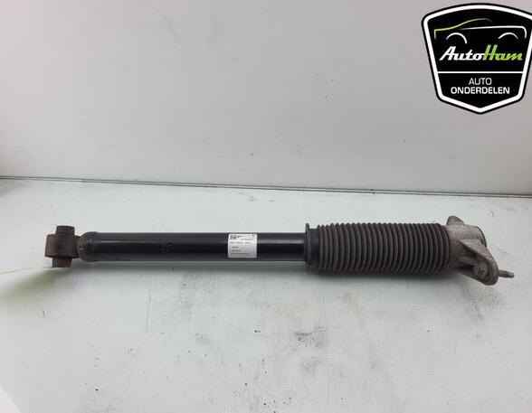 Shock Absorber TESLA MODEL 3 (5YJ3)