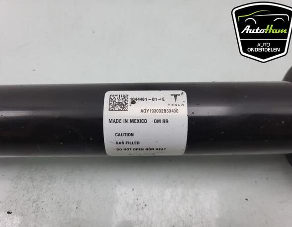 Shock Absorber TESLA MODEL 3 (5YJ3)