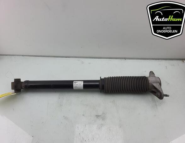 Shock Absorber TESLA MODEL 3 (5YJ3)