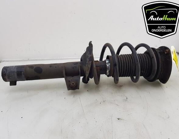 Shock Absorber VW TOURAN (5T1)