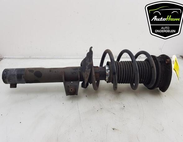 Shock Absorber VW TOURAN (5T1)