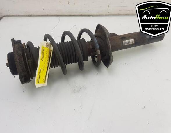 Shock Absorber VW SCIROCCO (137, 138), VW GOLF V (1K1), VW GOLF PLUS (5M1, 521), VW GOLF VI (5K1)