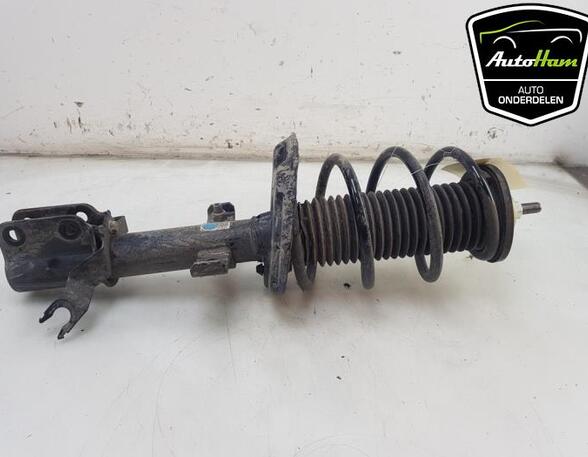 Shock Absorber RENAULT CLIO V (B7_)